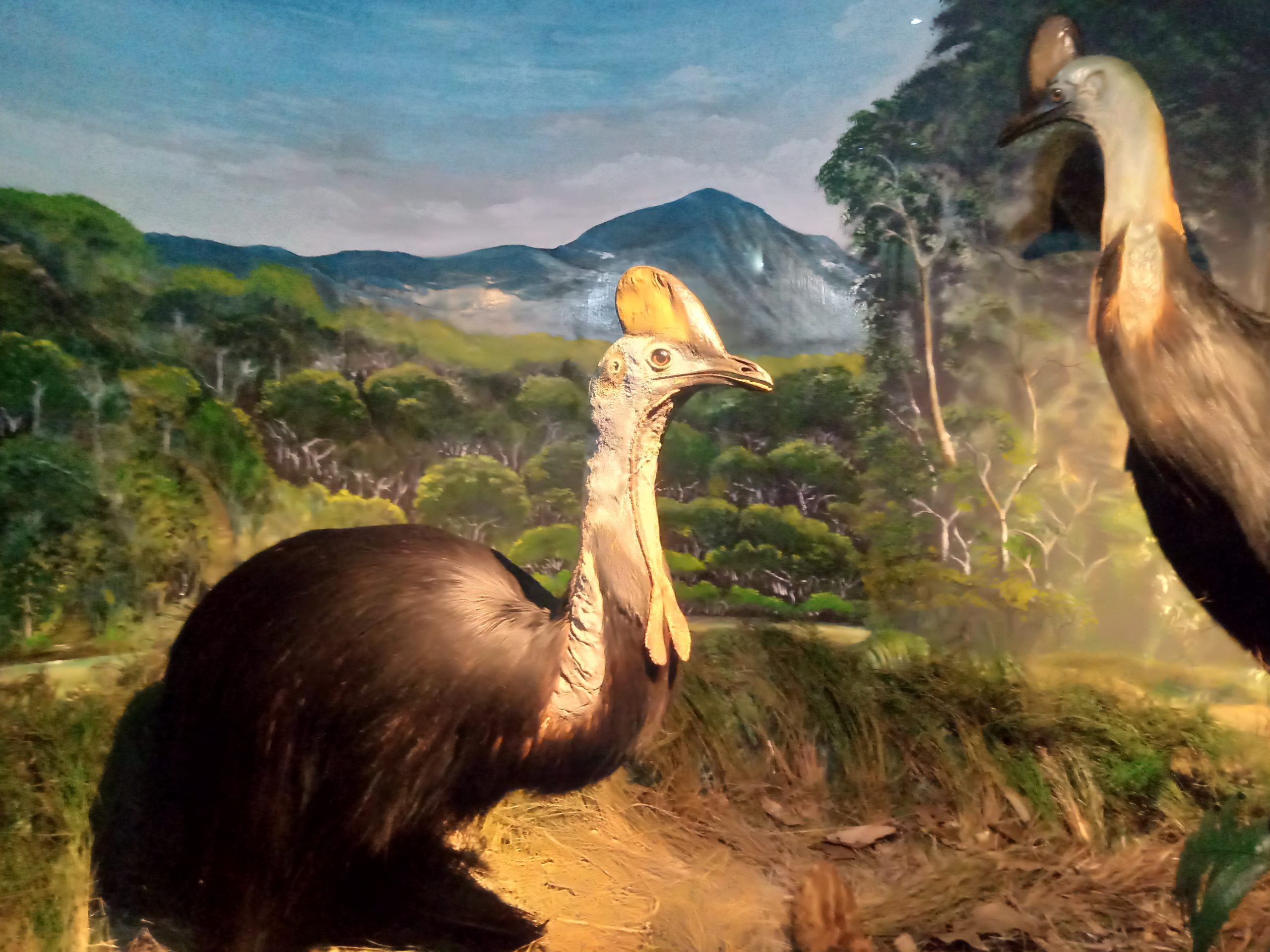 Kebun Raya Bogor Perpaduan Tempat Wisata Alam Dan Musium