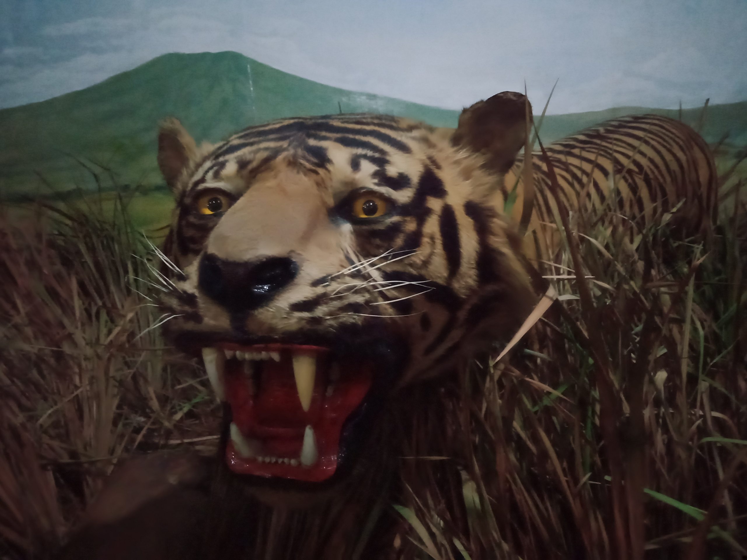 Kebun Raya Bogor Perpaduan Tempat Wisata Alam Dan Musium