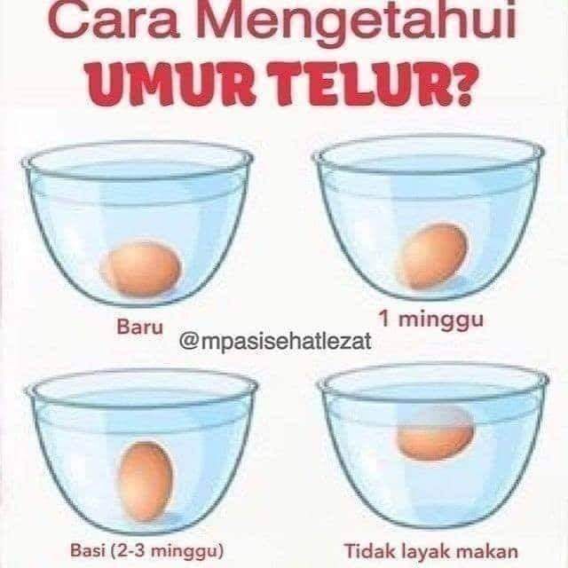 Fungsi Telur Dalam Membuat Kue