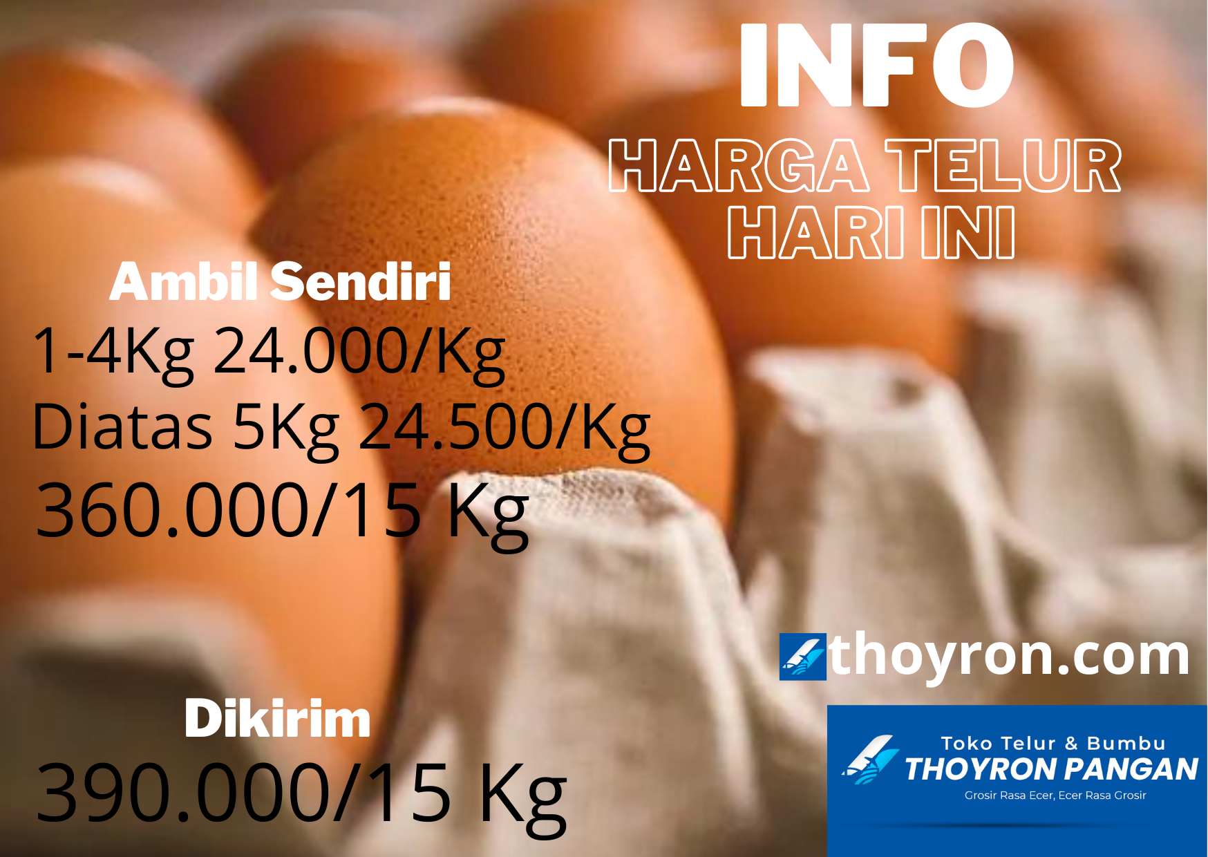 Info harga telur 
